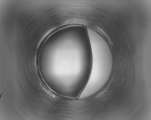 X0000056030788200508190951