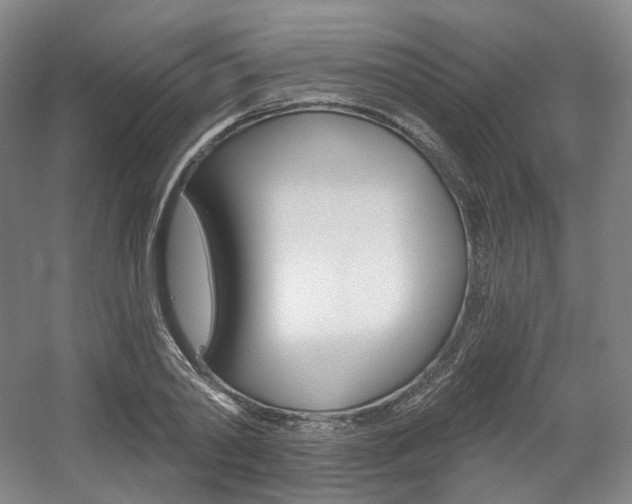 X0000056030790200508190951