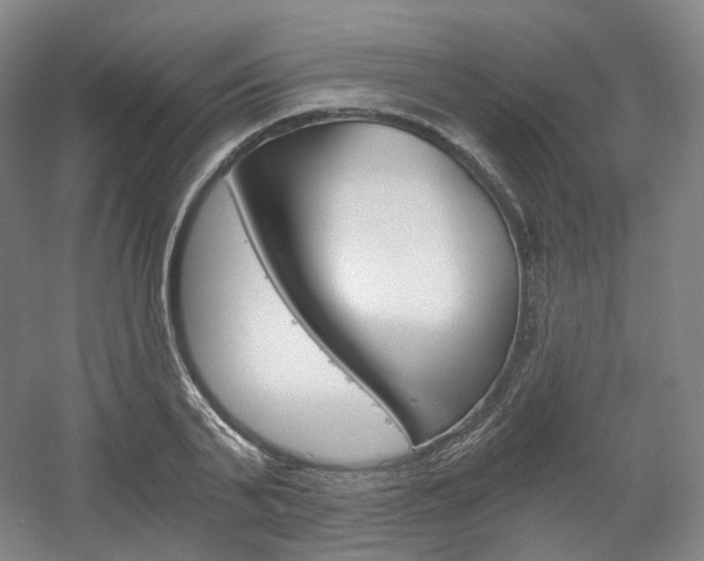 X0000056030791200508190951