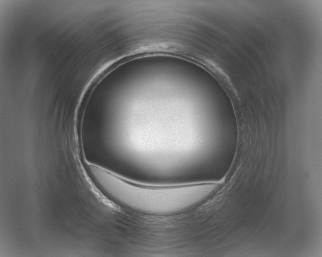 X0000056030792200508190951