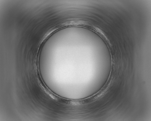 X0000056030794200508190951