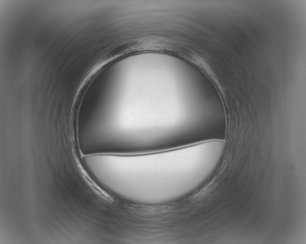 X0000056030795200508190951