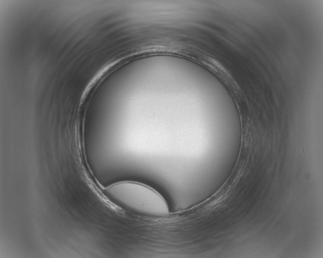 X0000056030796200508190951