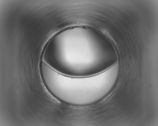X0000056030797200508190951