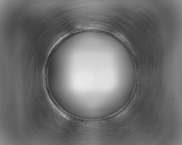 X0000056030798200508190951
