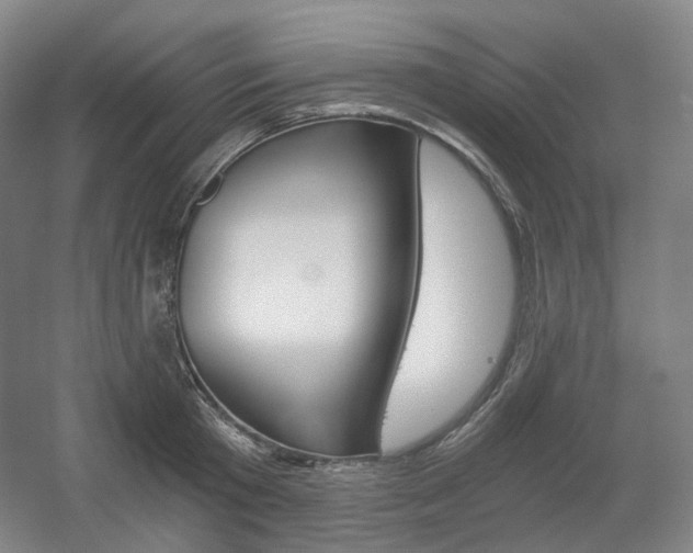 X0000056030801200508190951