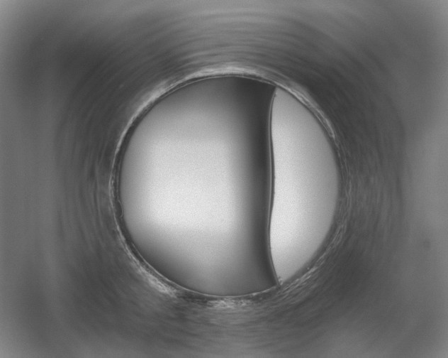 X0000056030805200508190951