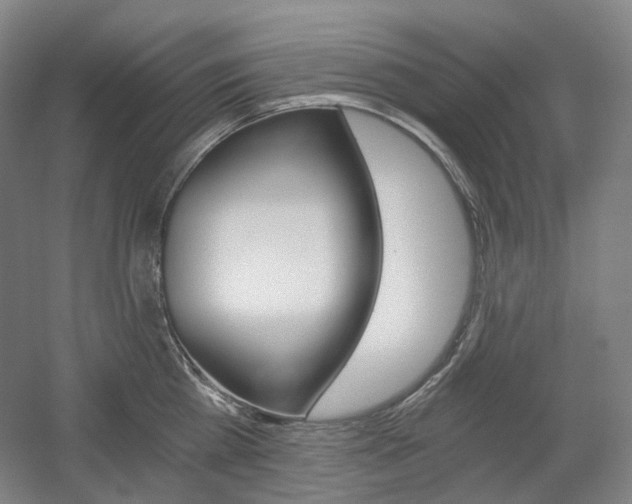 X0000056030809200508190951