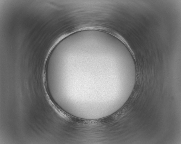 X0000056030811200508190950