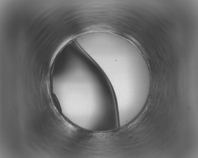 X0000056030812200508190950