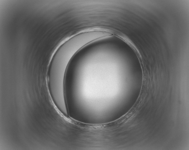X0000056030813200508190950