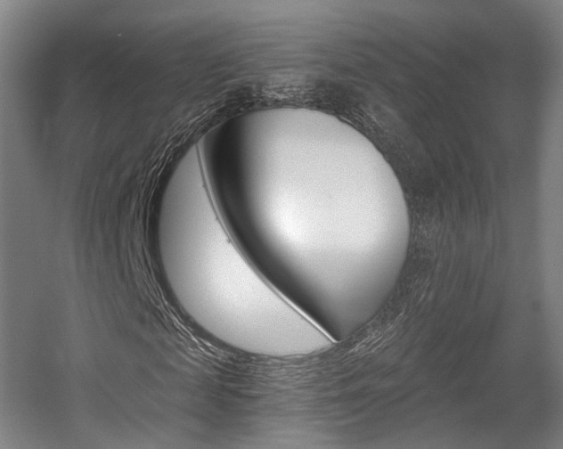 X0000056030817200508190950
