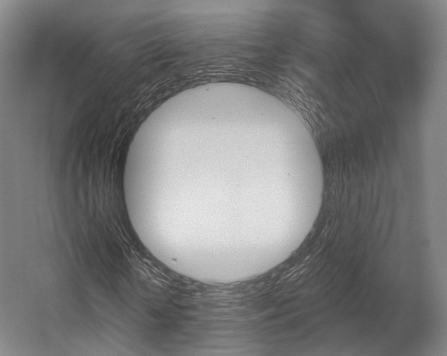 X0000056030818200508190950