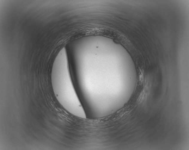 X0000056030819200508190950
