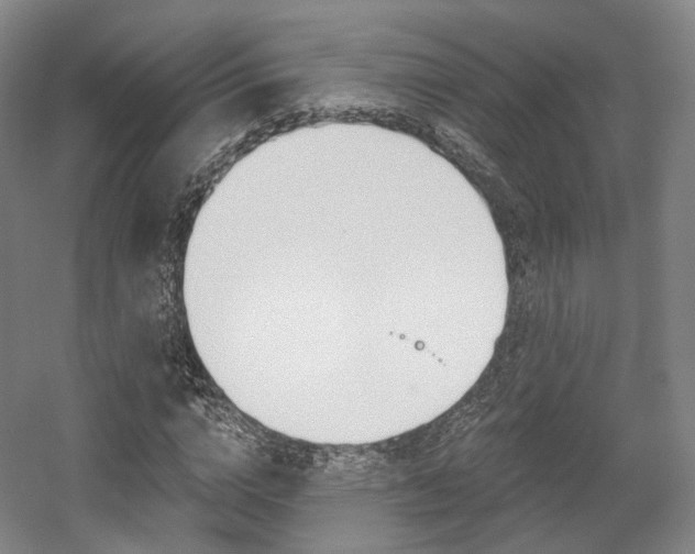 X0000056030824200508190950