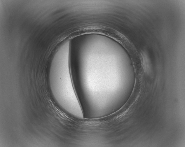 X0000056030825200508190950