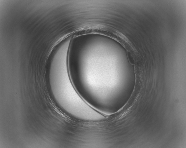 X0000056030826200508190950