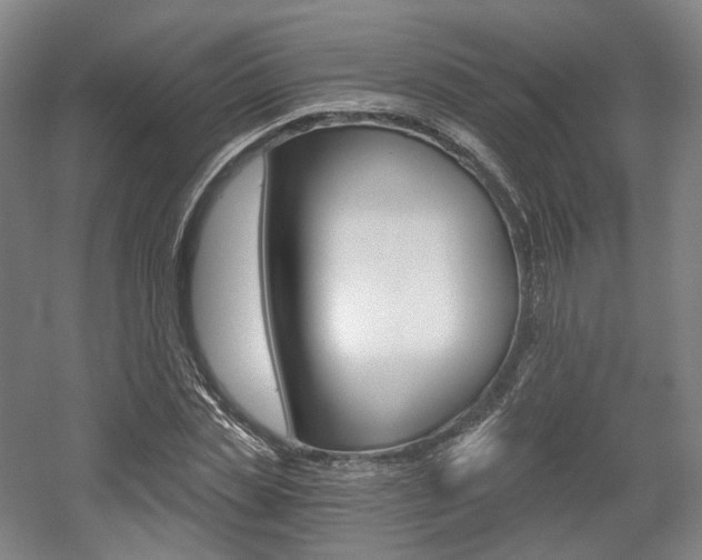 X0000056030829200508190950