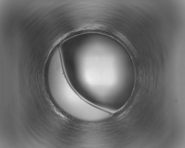 X0000056030834200508190950