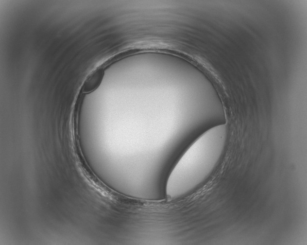X0000056030840200508190950