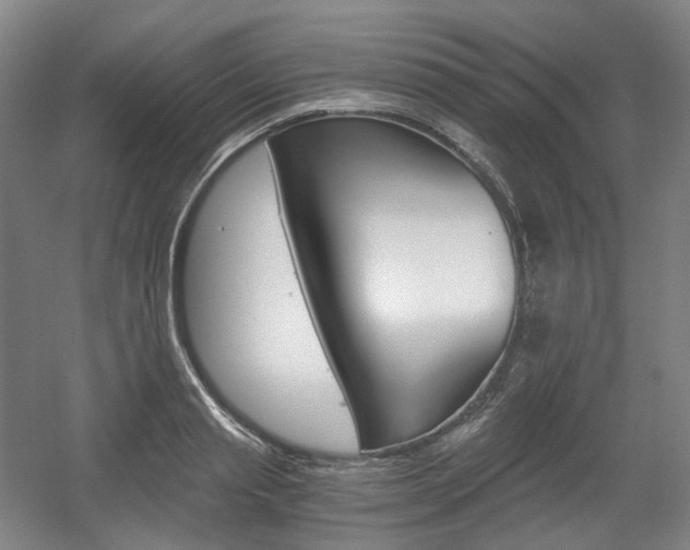X0000056030845200508190950