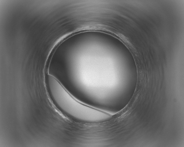 X0000056030846200508190950