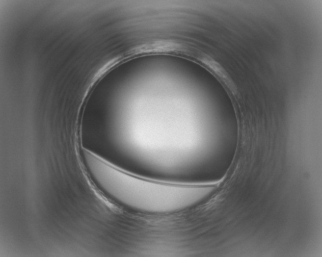 X0000056030850200508190950