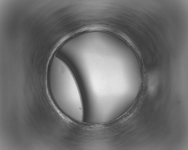 X0000056030853200508190950