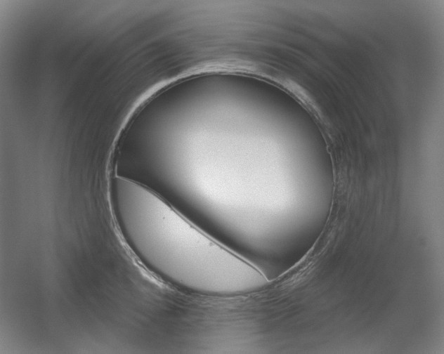 X0000056030854200508190950