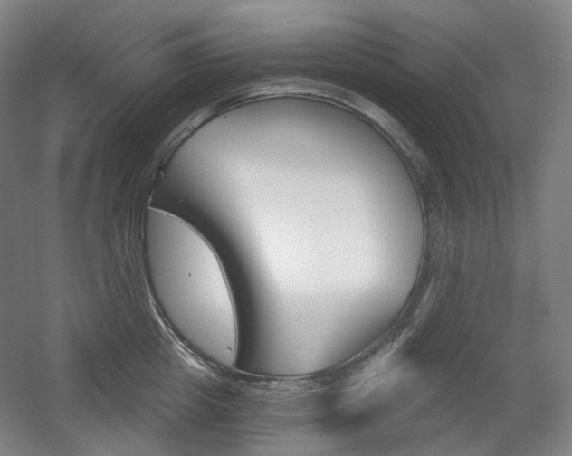 X0000056030857200508190950