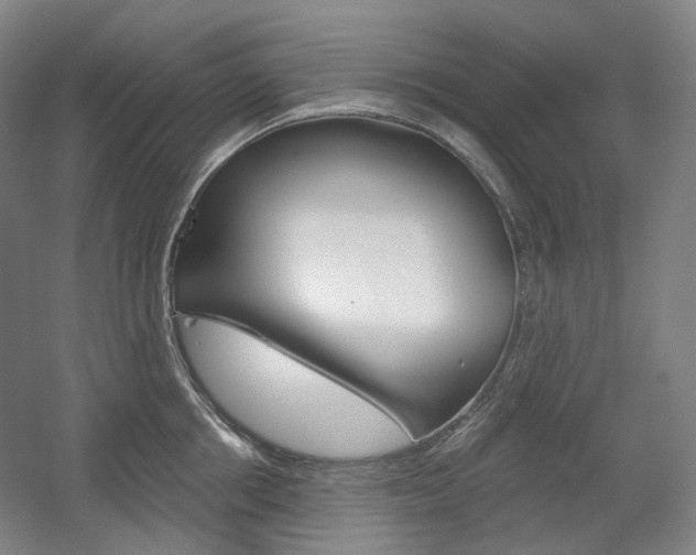 X0000056030858200508190950