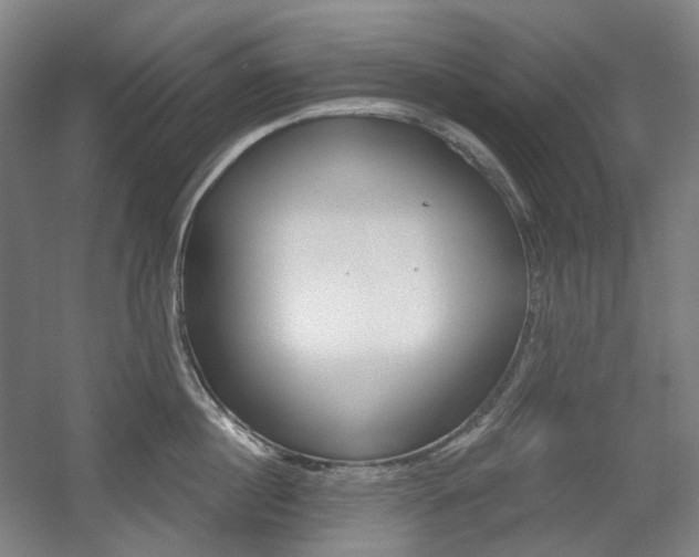 X0000056030860200508190950