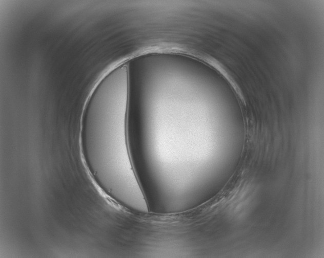 X0000056030861200508190950