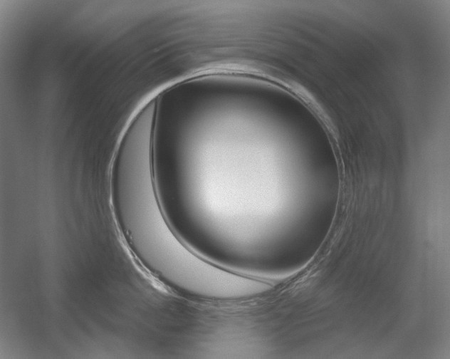 X0000056030862200508190950