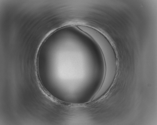 X0000056030864200508190950