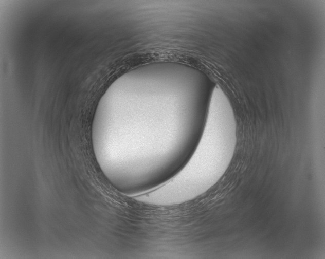 X0000056030865200508190950