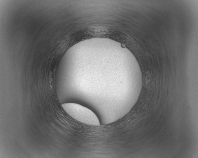 X0000056030866200508190950