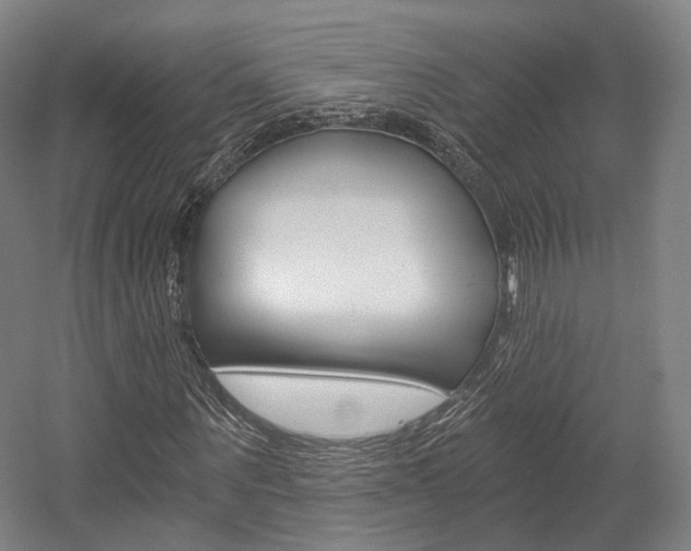 X0000056030867200508190950