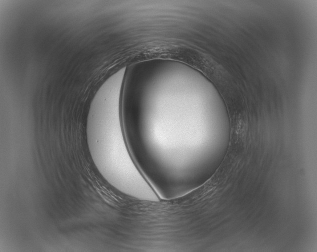 X0000056030868200508190949
