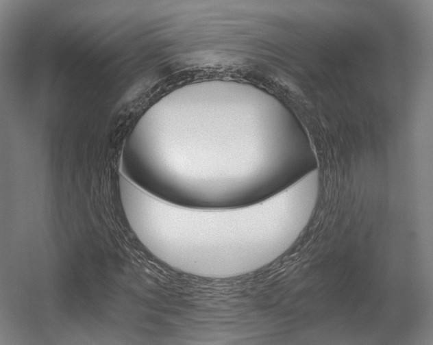 X0000056030869200508190949