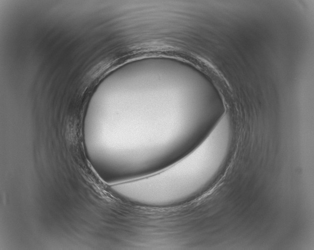 X0000056030873200508190949