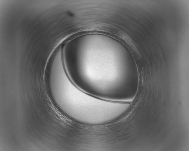 X0000056030876200508190949