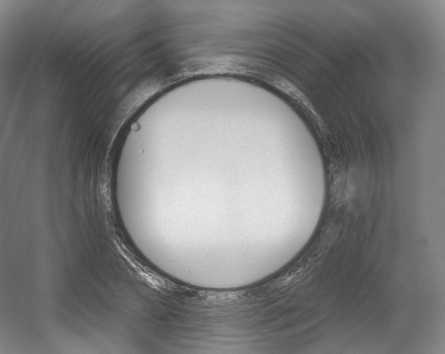 X0000056030882200508190949
