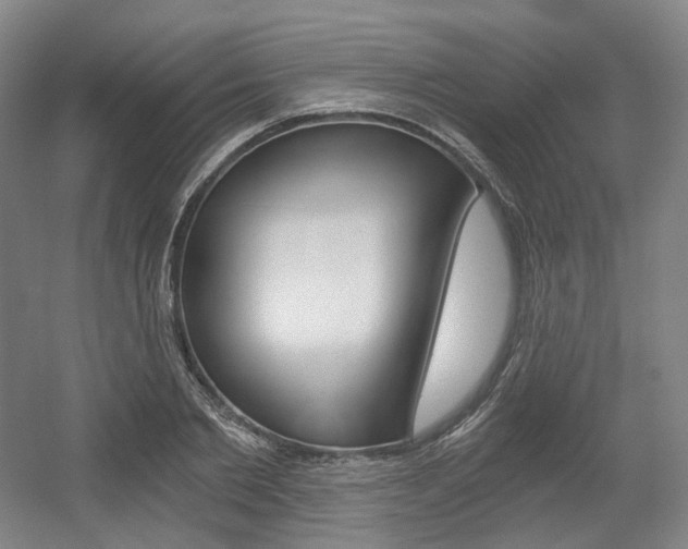 X0000056030885200508190949