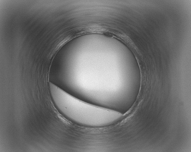 X0000056030889200508190949