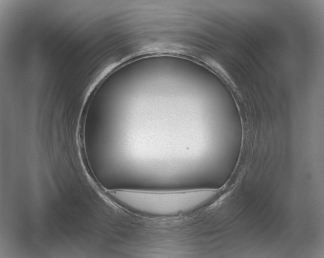 X0000056030893200508190949