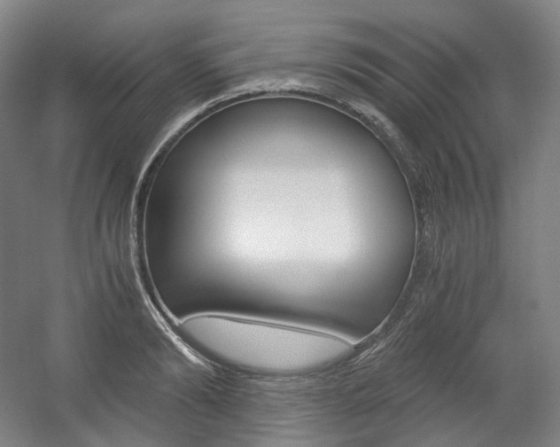 X0000056030894200508190949