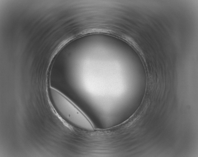 X0000056030898200508190949