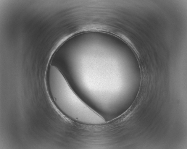X0000056030901200508190949