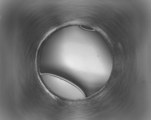 X0000056030902200508190949